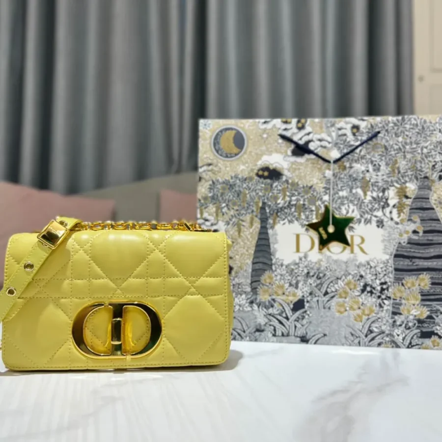CARO Handbag Size:20cm