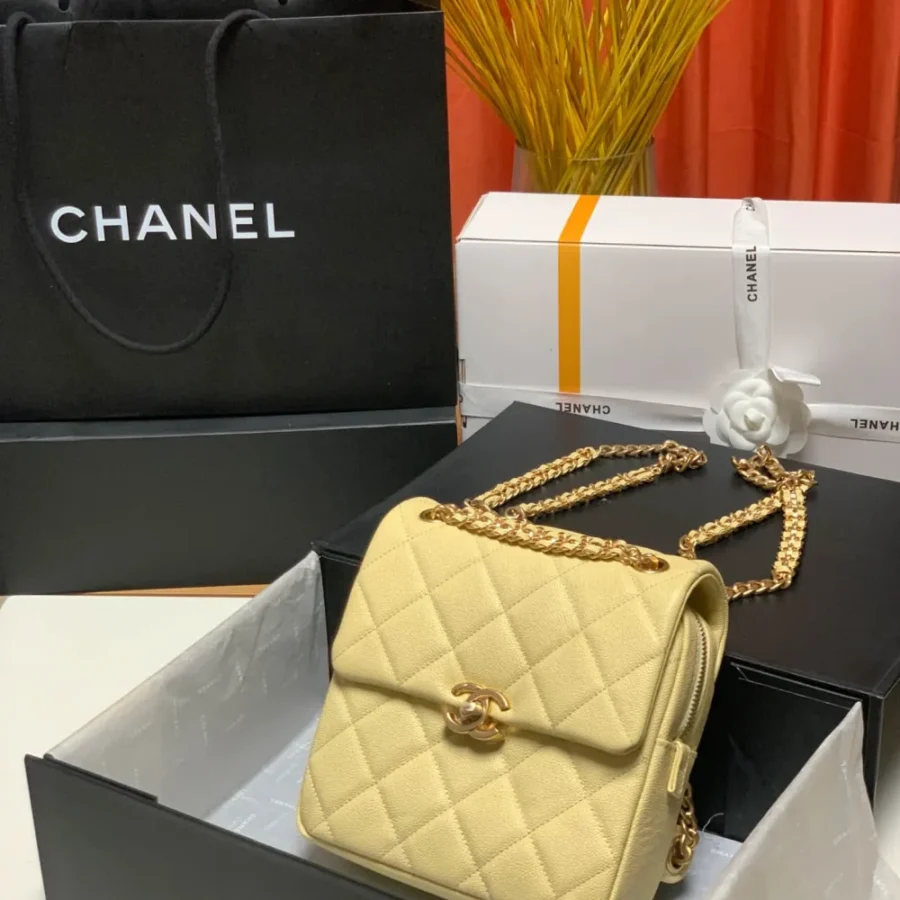 CHANEL Model: AS3108# Size: 19X20X8Cm
