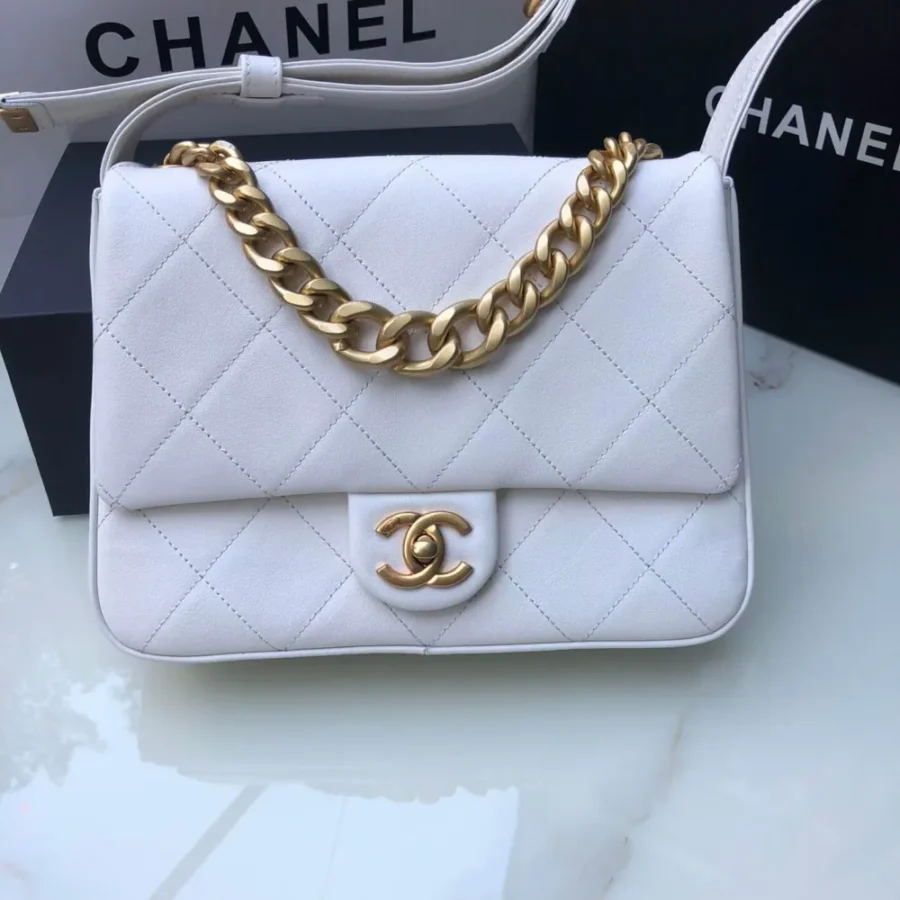 Chanel Model: AS2843 Size: 25cmX18cmX7cm