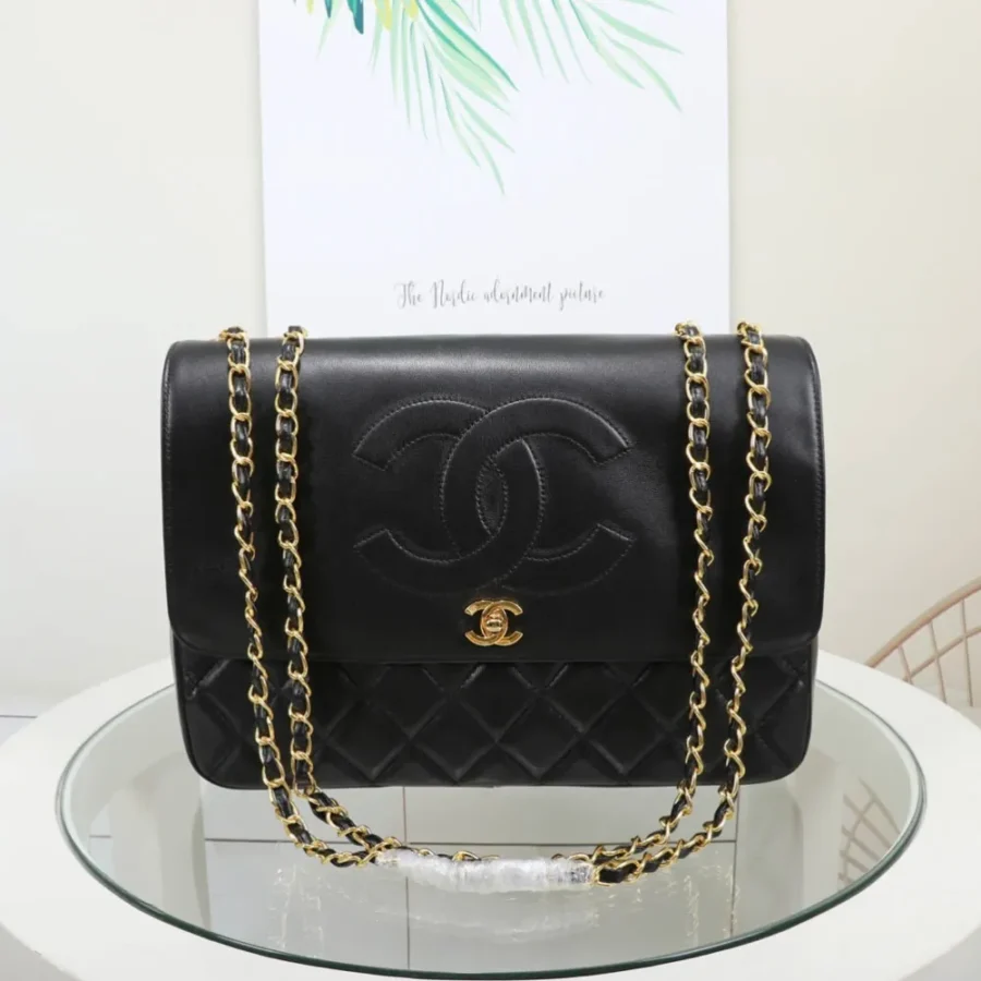 Chanel size: 25x15x9cm