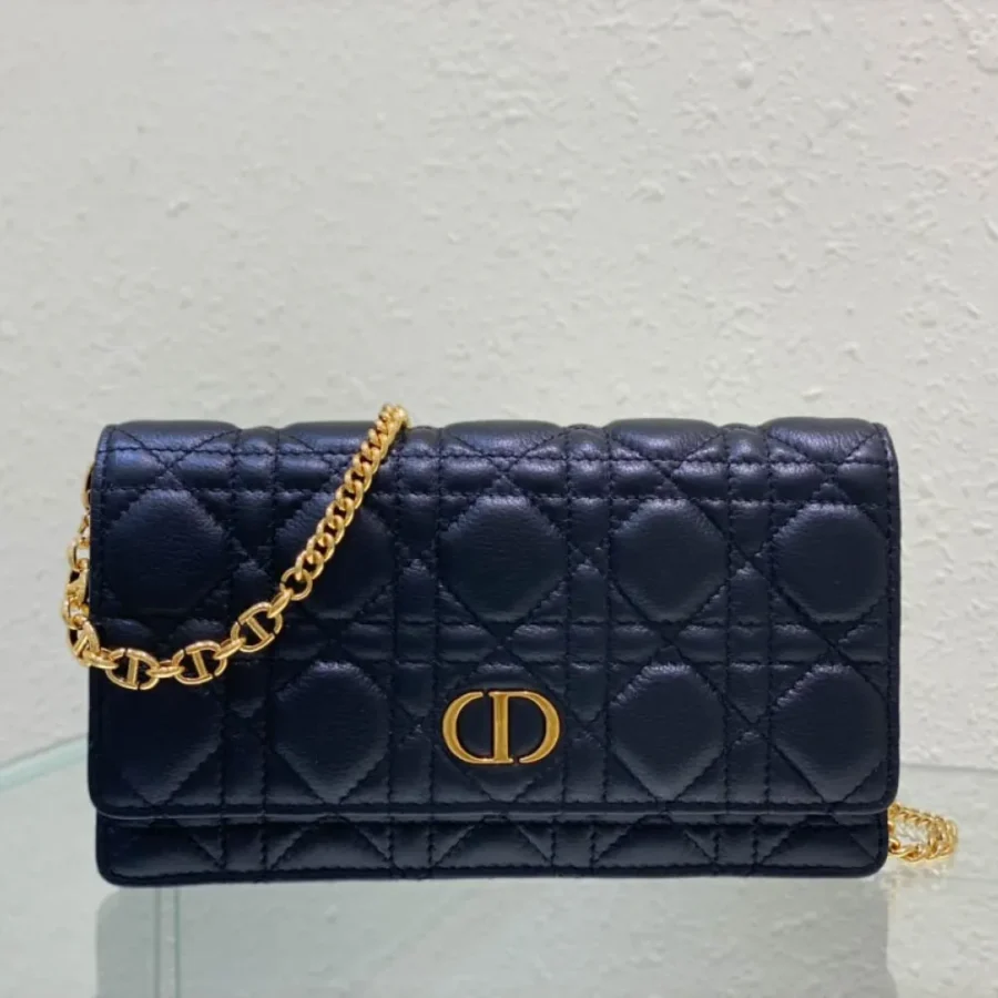 Caro Collection Chain Handbag