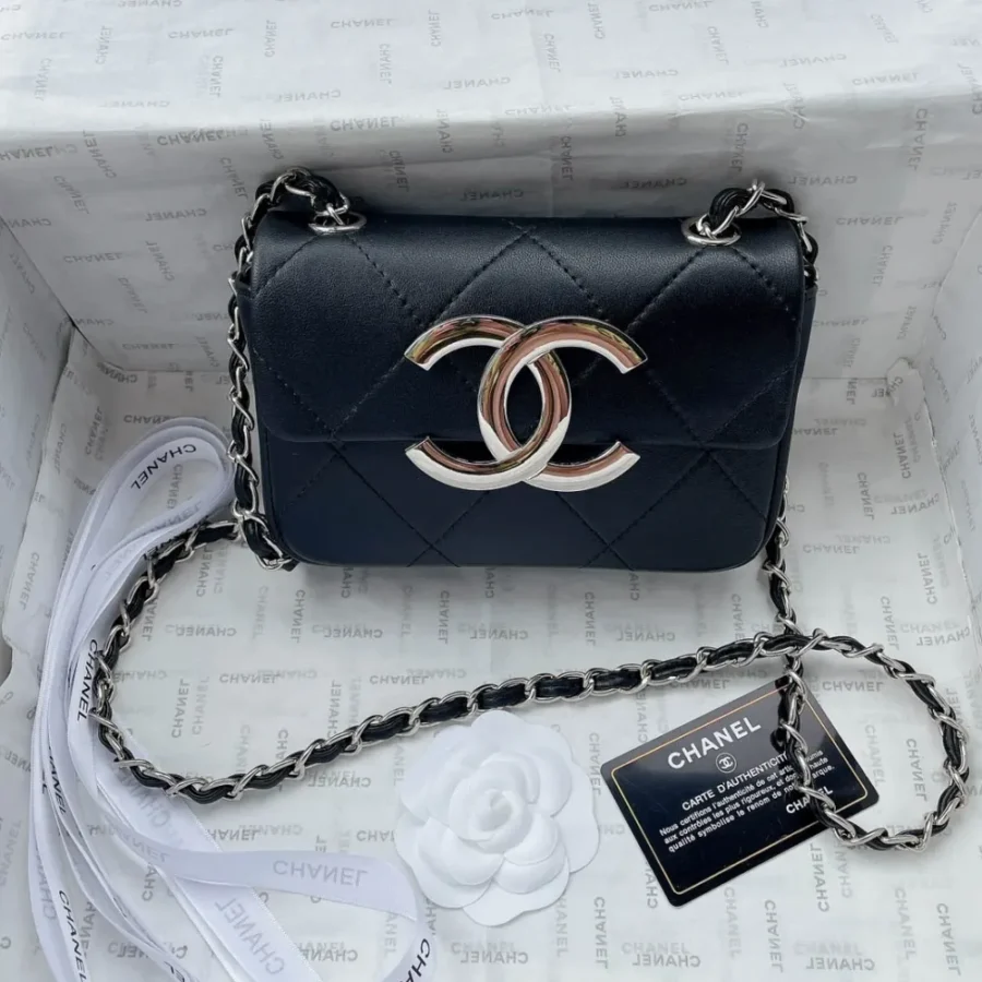 Chanel lambskin Size: 21x12cm